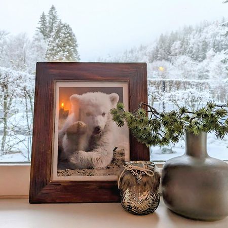 Au Petit Bois Appartement Chamonix Buitenkant foto