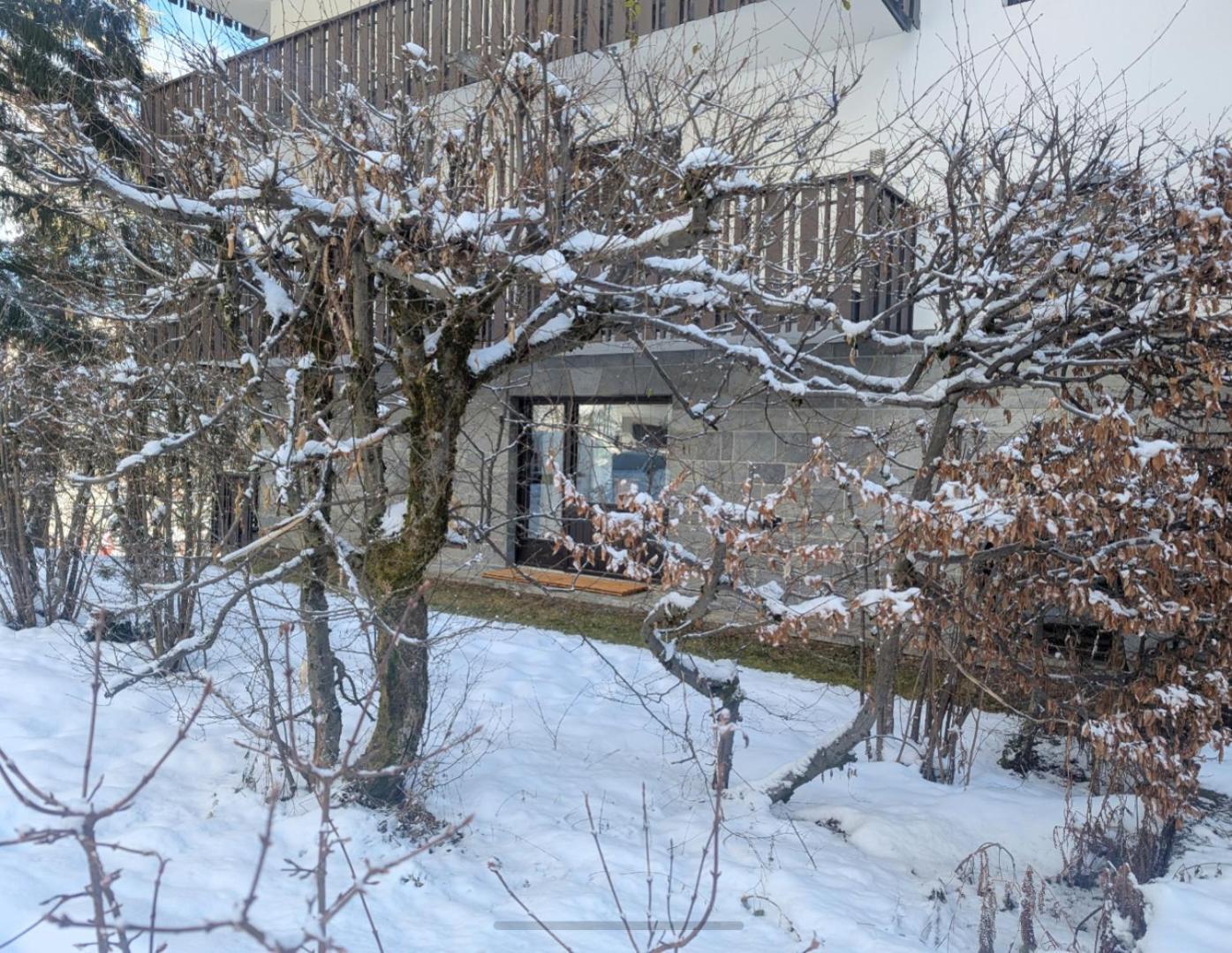 Au Petit Bois Appartement Chamonix Buitenkant foto