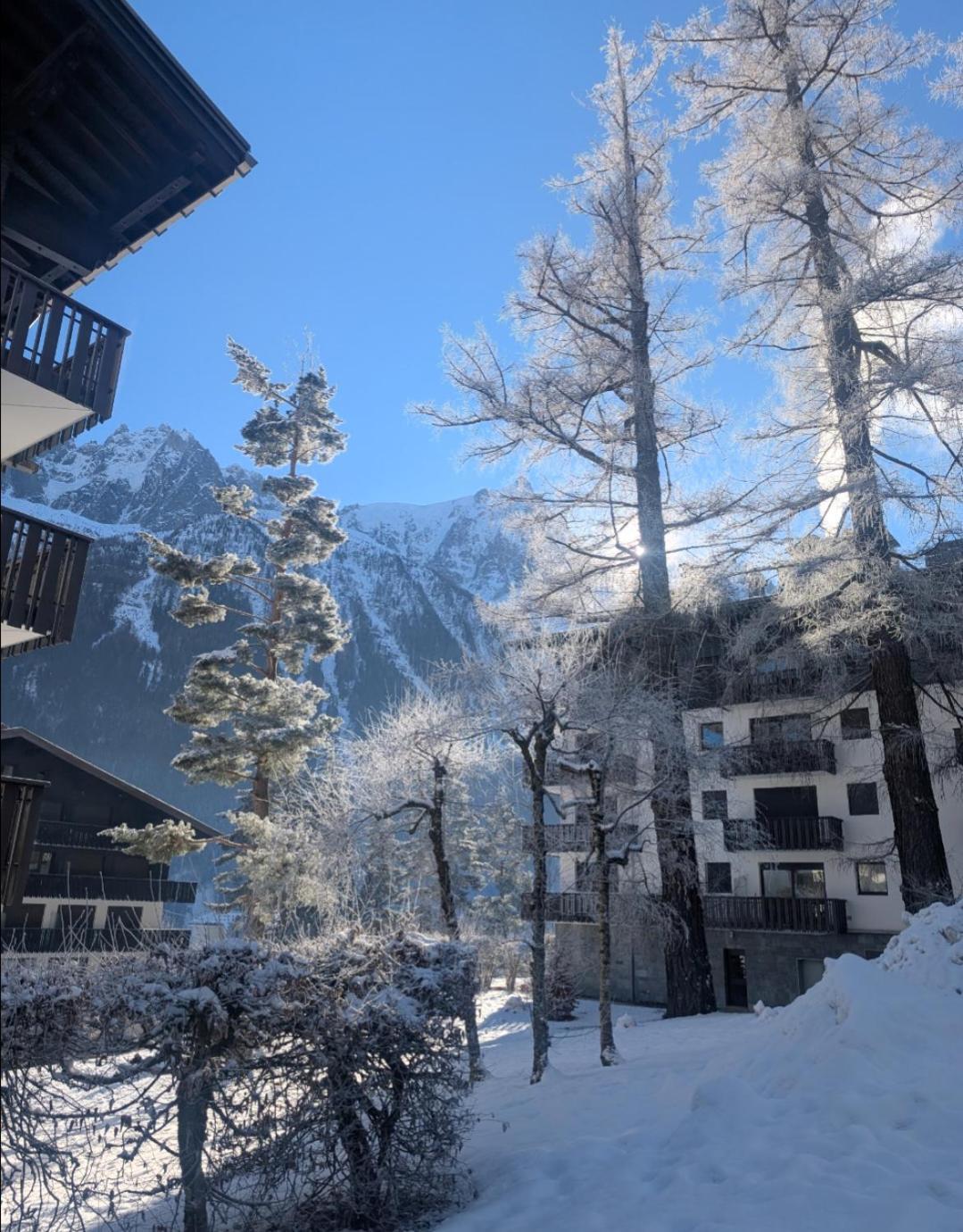 Au Petit Bois Appartement Chamonix Buitenkant foto